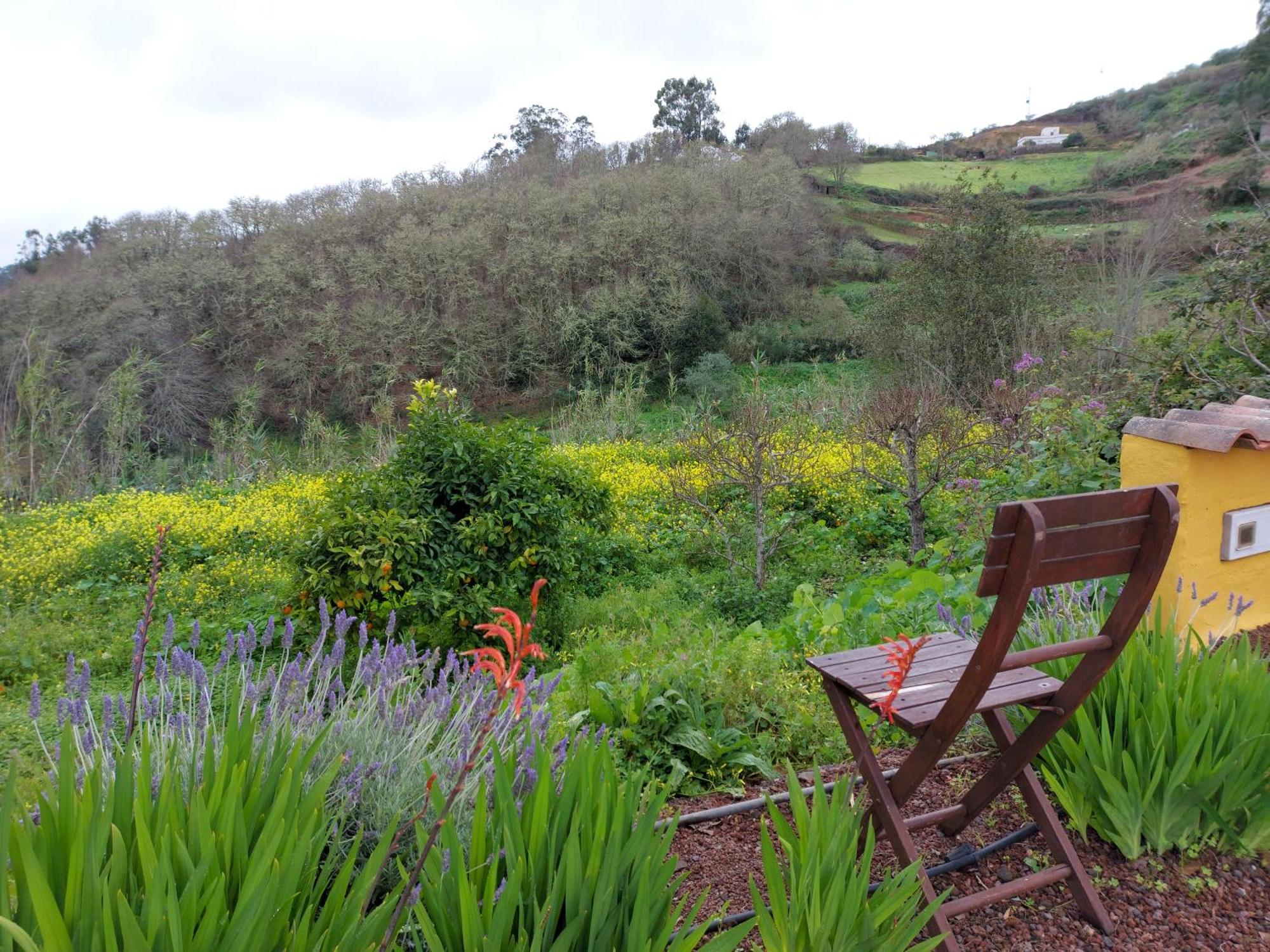 Naturacanaria Holiday home